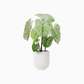 Ceramic Flower Vase