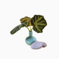 Ceramic Flower Vase