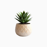 Wooden Plant Stand