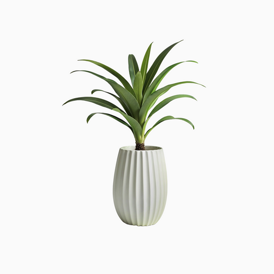 Ceramic Flower Vase