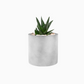 Ceramic Flower Vase