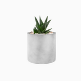 Indoor Hanging Planter