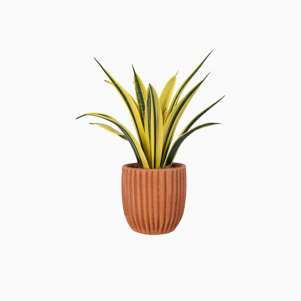 Ceramic Flower Vase