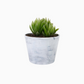 Ceramic Flower Vase