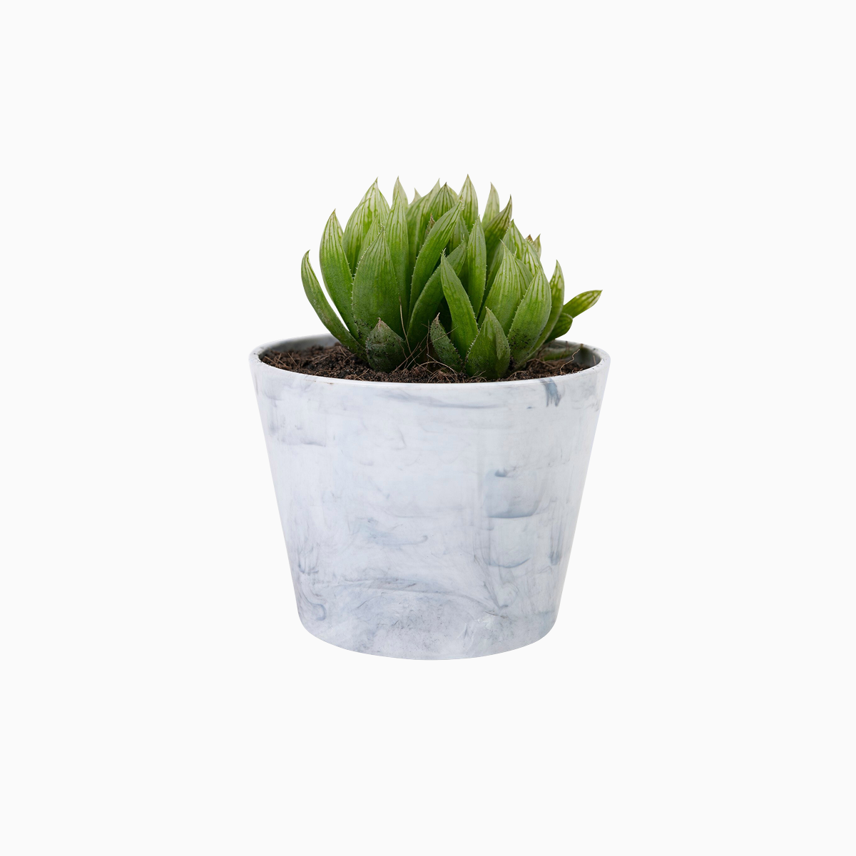 Ceramic Flower Vase
